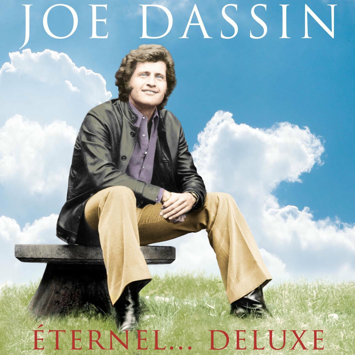 Joe Dassin - Éternel (LP)