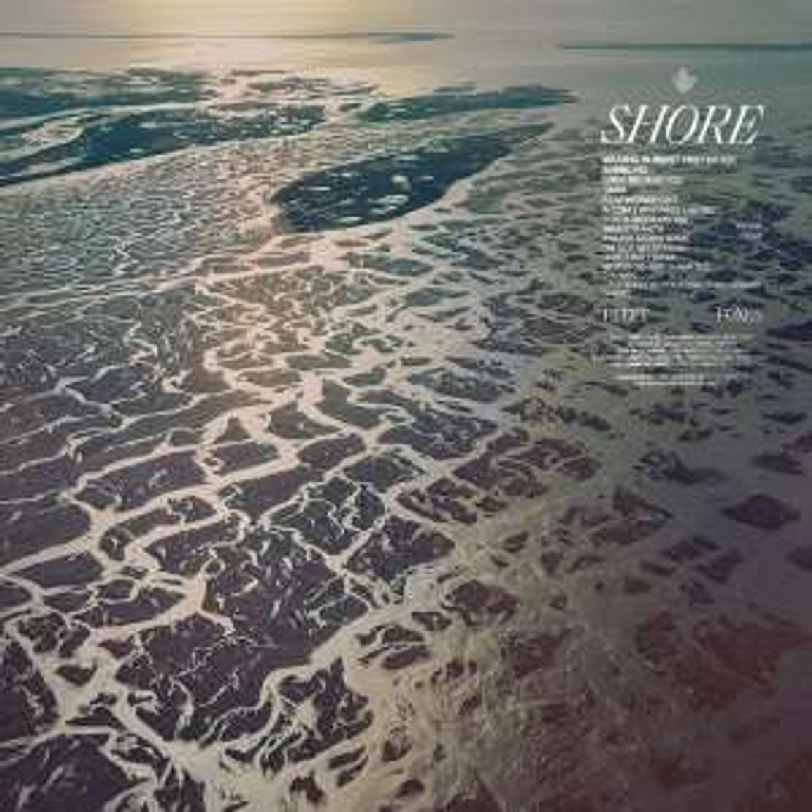 Fleet Foxes - Shore (LP vinyle crystal clear)