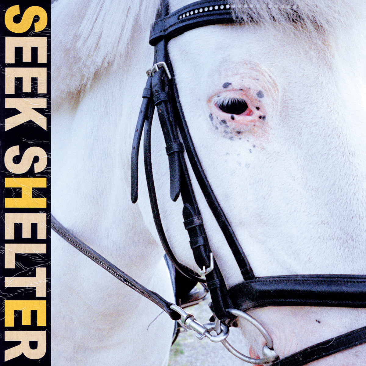 Iceage - Seek Shelter (LP)
