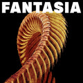Slift - Fantasia (2LP, édition limitée disquaire français, vinyle Transparent Orange)
