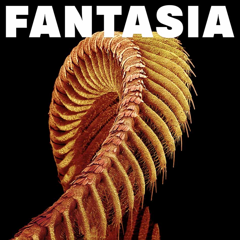 Slift - Fantasia (2LP, édition limitée disquaire français, vinyle Transparent Orange)
