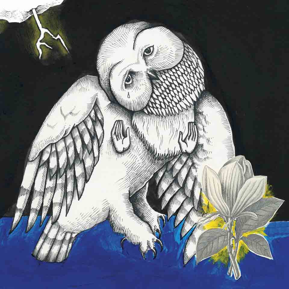 The Magnolia Electric Co. - Songs : Ohia ( LP 10 Year Anniversary edition)