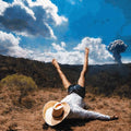Geese - 3D Country (LP, vinyle rouge)