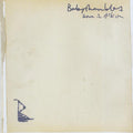 Babyshambles - Down In Albion (LP)