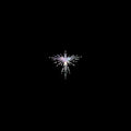 Karen O & Danger Mouse - Lux Prima (LP)
