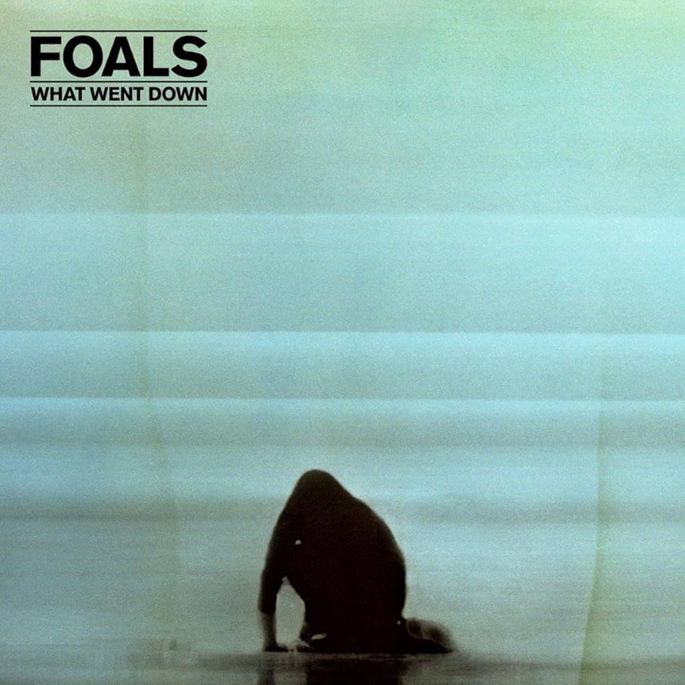 Foals - What Went Down (LP 10ème aniversaire, vinyle coloré)