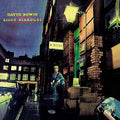David Bowie - The Rise And Fall Of Ziggy Stardust (LP)