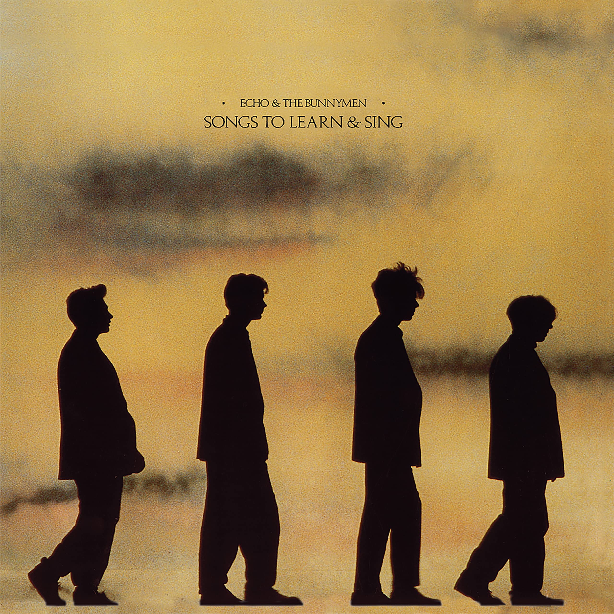 Echo and The Bunnymen - Songs To Learn & Sing (LP, Édition Limitée Vinyle Jaune et Noir Marbré)