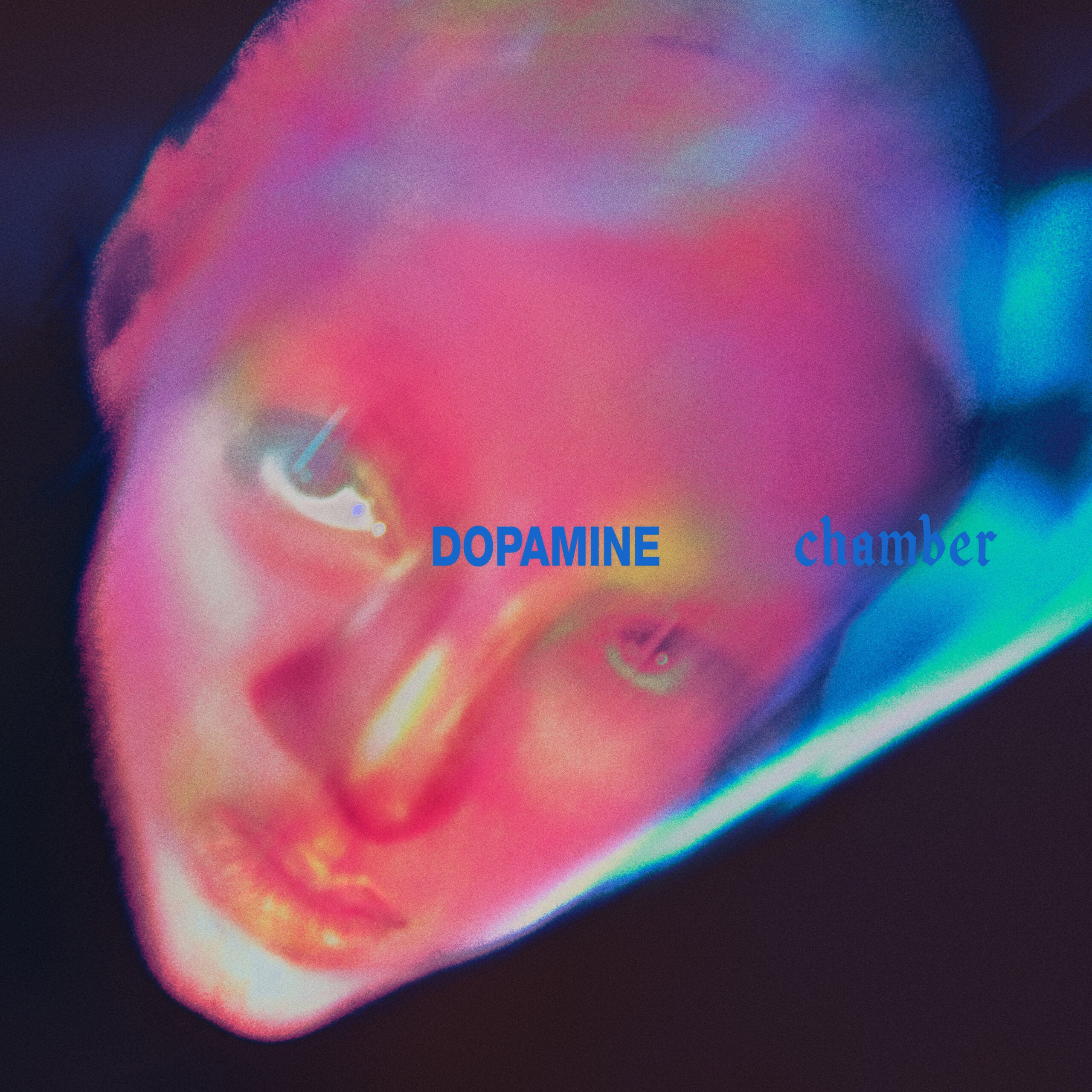 Fontaines D.C. - Dopamine Chamber