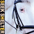Iceage - Seek Shelter (LP)