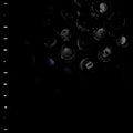 Crumb - Ice Melt (LP)